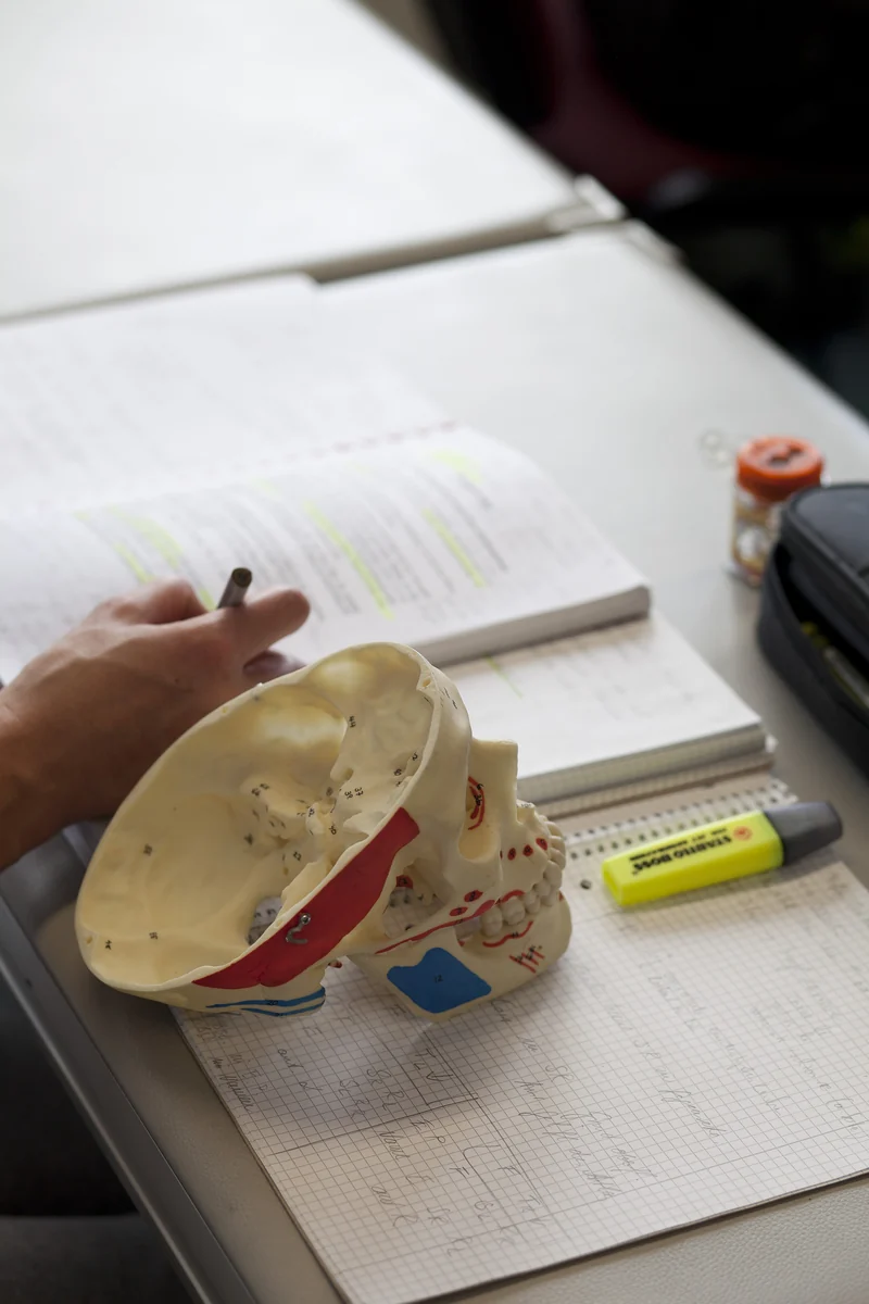 Schädelmodell und Kursunterlagen auf einem Tisch im Kursraum